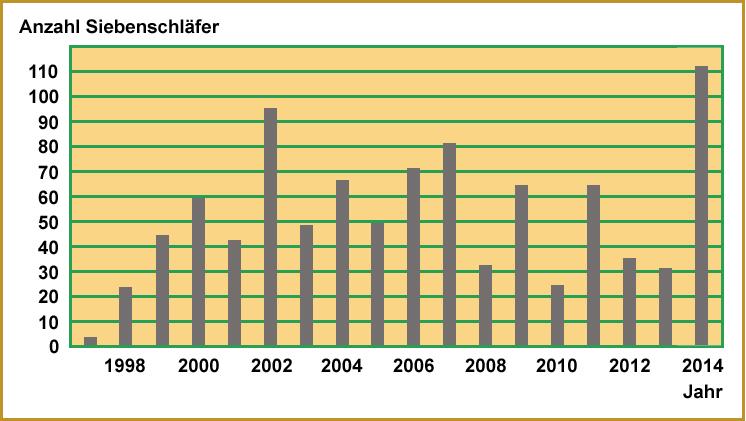 Beim Vergleich der Funde in den vergangenen Jahren (Grafik 4) zeigt sich ein sehr unregelmäßiges Muster an SiebenschläferfunGrafik 4: Anzahl der Siebenschläfer in Vogelnistkästen und Fledermauskästen