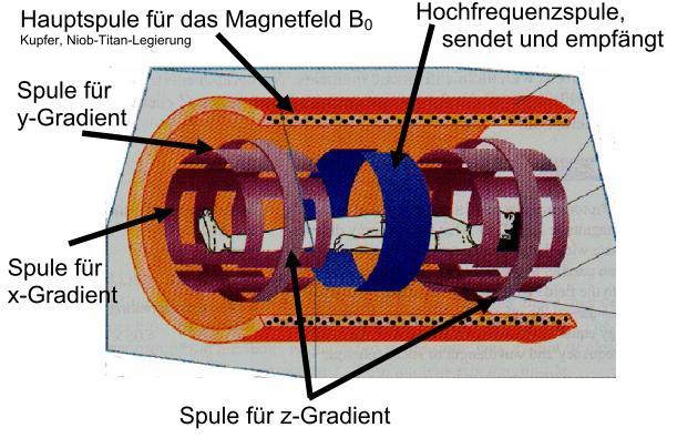 Magnetresonanztomographie Prinzip: Anregung der