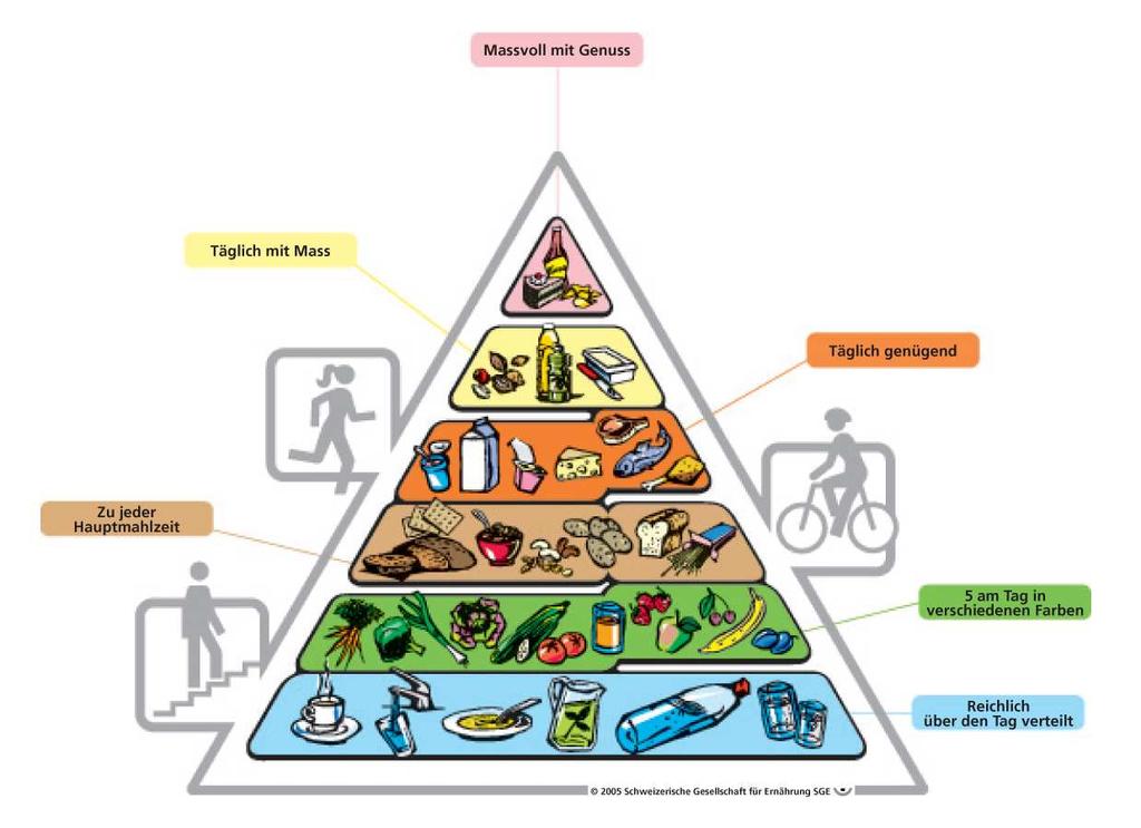 Erhöhter Bauchumfang als Folge: Ernährungsempfehlungen z. B. Lebensmittelpyramide 2005, BAG Dr.