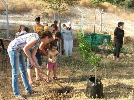 יש 14 משפחות, רובן מתחילת הפרויקט 5-10 עד 35 פוטנציאל להגדלת מספר התושבים סוג הצמחייה בגינה משאבים בהווה/ עתיד היסטוריה ב מוזמנת כל הקהילה.