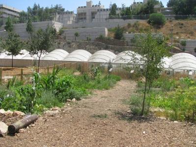 לבנייני מגורים של רחוב הבנאי בתי ספר: ימי שישי בין השעות 12:00-14:00.