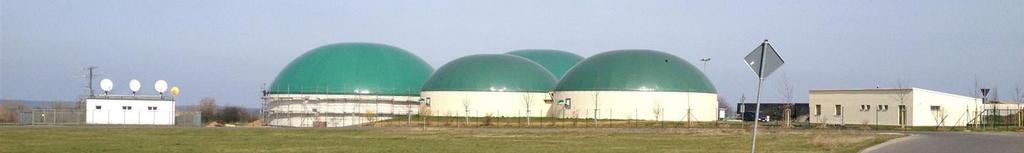 Ökonomische Faktoren beim Einsatz von pflanzlichen Reststoffen in Biogasanlagen
