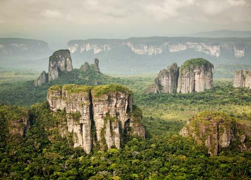 Der größte Tropenwald-Nationalpark der Welt nimmt Gestalt an In Kolumbien soll der Chiribiquete-Nationalpark um ca. 1 Mio. Hektar auf über 4 Mio. Hektar erweitert werden.
