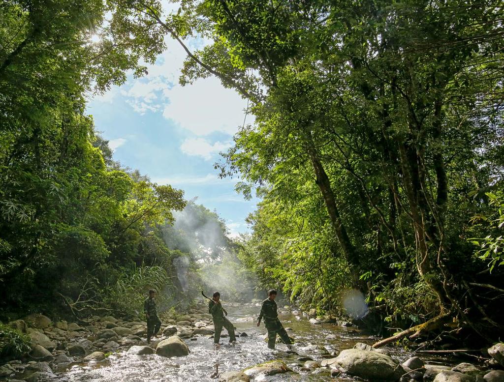 Die Bilanz nach sechs Jahren WWF-Arbeit im Saolaland Wiederbewaldung von 5.600 Hektar Fläche (entspricht 7.800 Fußballfeldern) Schutz von Waldgebieten in der Größe von 195.