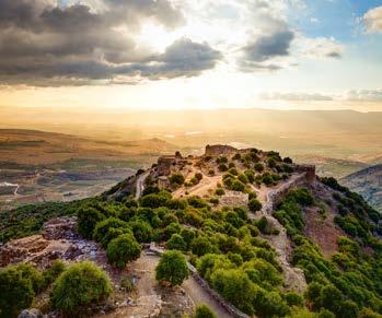 Israel bietet für jeden etwas: Geschichte, Kultur, Religion, Natur, Sport, Kuren, Baden & Tauchen, kulinarische Genüsse Entdecken Sie Israel, lernen Sie Land und Leute kennen ob in der Reisegruppe