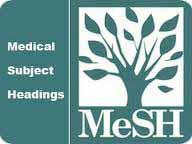 Semantik in der Medizin MeSH Medical Subject headings UMLS