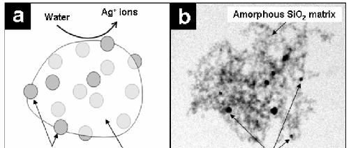 Antimikrobielle Beschichtungen idealisierte Struktur von Silberpartikel eingebettet in amorphem