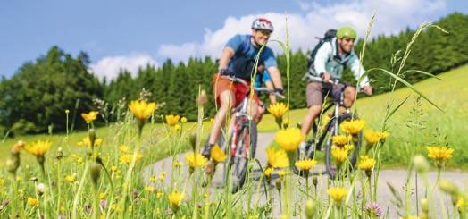 Rad-Tour de Prignitz 2014 Mitmachen für Wittenberge und den eigenen Spaß Meyenburg Am 12. um 10 Uhr startet die Tour de Prignitz in Wittenberge.
