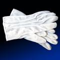 Handschuhe Die weißen Handschuhe sind Teil der Bekleidung und werden dem Lehrling bei seiner Aufnahme überreicht. Sie sind Symbol des reinen Handelns und Fühlens.