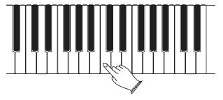 9 Splitmodus Im Splitmodus kann die Tastatur in zwei Bereiche aufgeteilt werden, und diesen Bereichen können unterschiedliche Stimmen für die linke und die rechte Hand zugewiesen werden.