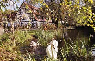 112 Springbach-Mühle Belzig OHG Am Rande Bad Belzigs befindet sich unser familiär geführtes Hotel und Restaurant.