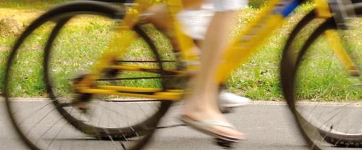 Biking Tour Erkunden Sie München mit dem Fahrrad und radeln Sie zu den schönsten Plätzen im Englischen Garten oder durch Münchens Szeneviertel Schwabing.
