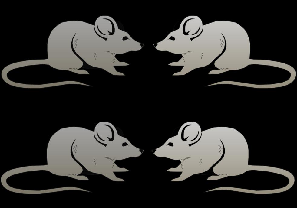 Kontrollgruppe. Bei der Verpaarung Ucn2 OE Weibchen bzw. weiblicher Kontrolltiere mit männlichen Kontrolltieren war die jeweilige Wurfgröße vergleichbar mit 9 vs. 7 Nachkommen.