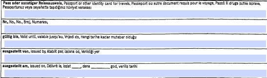 Hier geht es um Ihren Ausweis. Schreiben Sie in die 1. Zeile: Was haben Sie für einen Ausweis. Zum Beispiel: Reise-Pass Personal-Ausweis Schreiben Sie in die 2. Zeile: Die Nummer vom Ausweis.