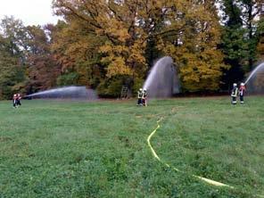 Waldbrandübung in Sulzbach Die Feuerwehren