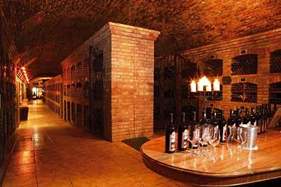 Wein-Tour Die Exkursion führt durch malerische Ortschaften