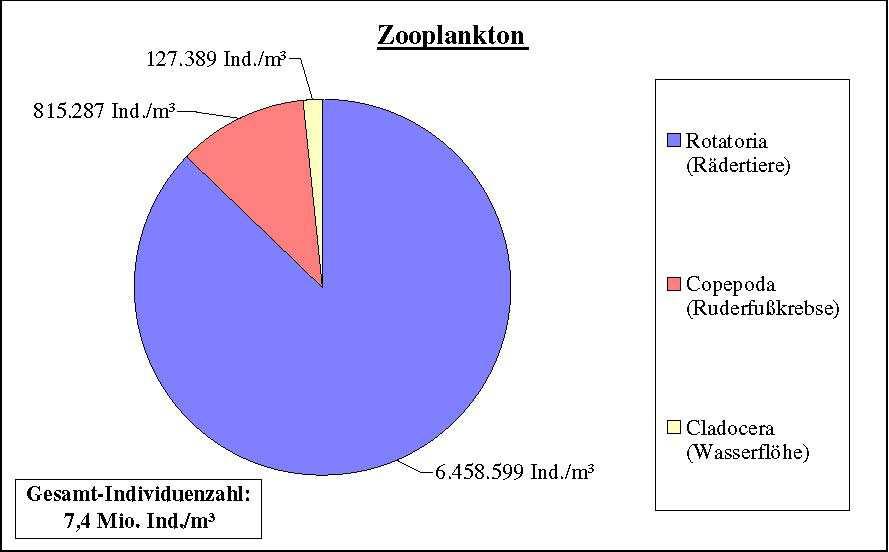 Machbarkeitsstudie Sanierung Blender See Seite 7 Das Gesamtbiovolumen des Phytoplanktons lag am 04.08.05 mit über 31 mm³/l auf einem sehr hohen Niveau. Mit einem Anteil von ca.