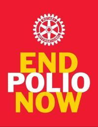 EndPolioNow - End game strategy 2013-2018 4 Ziele: 1. Polio entdecken und Übertragung unterbrechen 2.