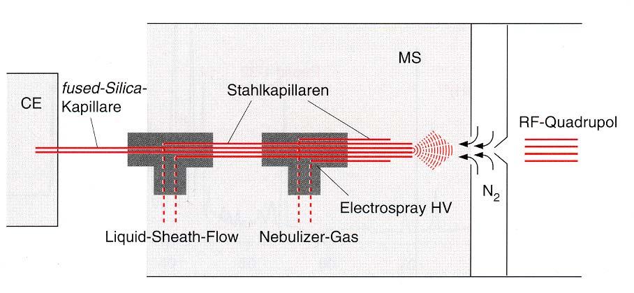 Massenspektrometrie-Detektor Empfindlichkeit: 10-17 - 10-8 mol