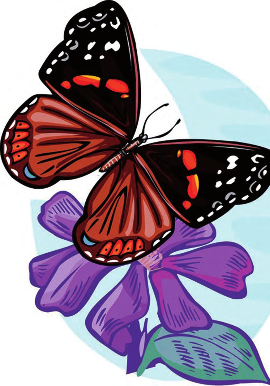 kal2015 23.06.14 15:18 Seite 3 Schmetterlinge im Februar Falter,dienichtlangeleben, Schmetterlingealletot FalterandieFensterkleben. WiederistdieWeltimLot. Doch was soll s!