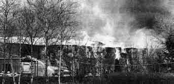 Die Stallgebäude von Schladetsch in Behmhusen standen in Flammen. gelagertes Papiers in Brand. Die über 50 Kameraden der gesamten Amtswehr konnten nur noch den Bürocontainer retten.