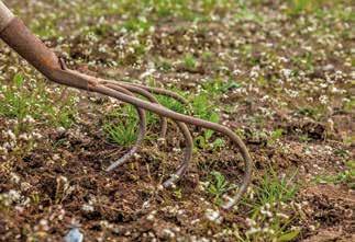 Der Sauzahn sieht aus wie ein Gartengrubber mit einer größeren Kralle. Mit ihm lassen sich Beete mit eher lockerem Boden gut bearbeiten.