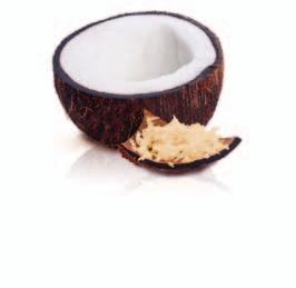 NNOVATION Fruchtspezialität Kokosnuss & Kokosflocken Les vergers Boiron Die beeindruckende Feinheit und Cremigkeit sublimiert Ihre Rezepte.