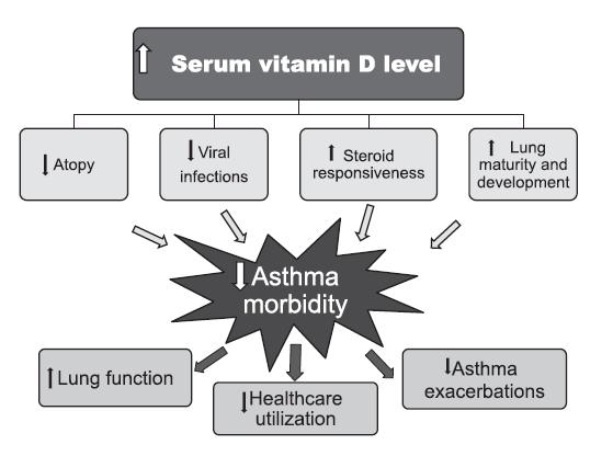 Vitamin D und Asthma - Entstehung Cave: Dosiseffekte: sehr niedrige und sehr hohe Vit D Spiegel