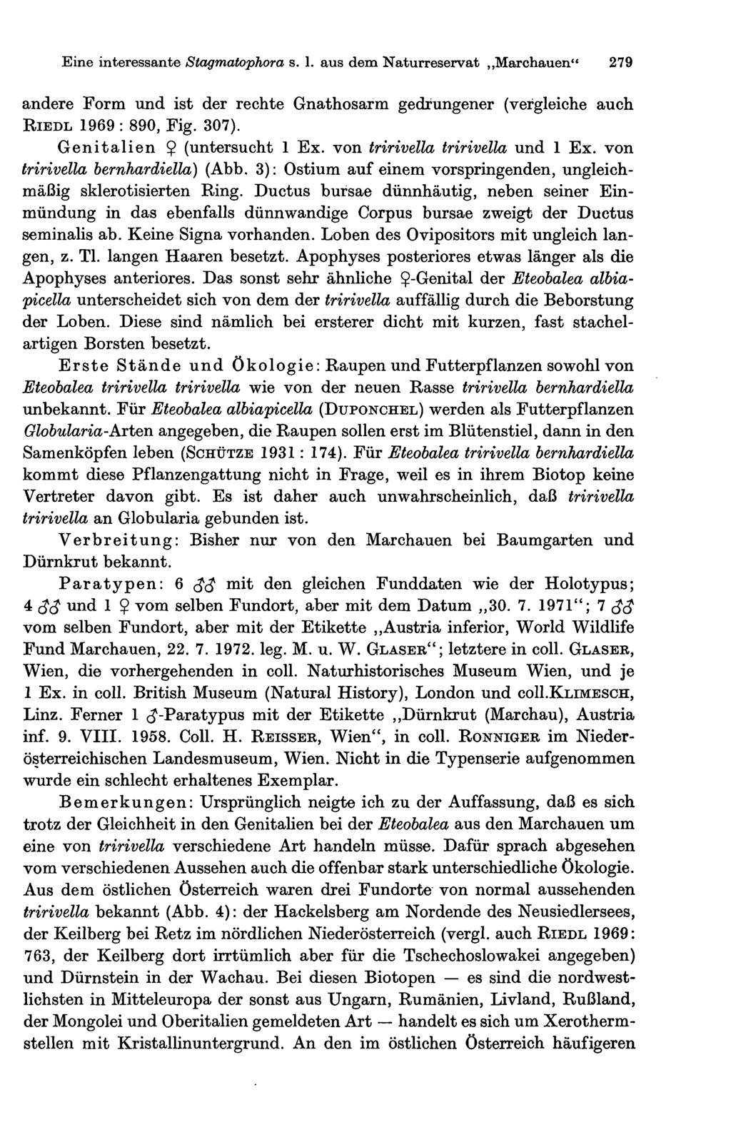 Eine interessante Stagmatophora s. 1. aus dem Naturreservat Marchauen" 279 andere Form und ist der rechte Gnathosarm gedrungener (vergleiche auch RIEDL 1969 : 890, Fig. 307).