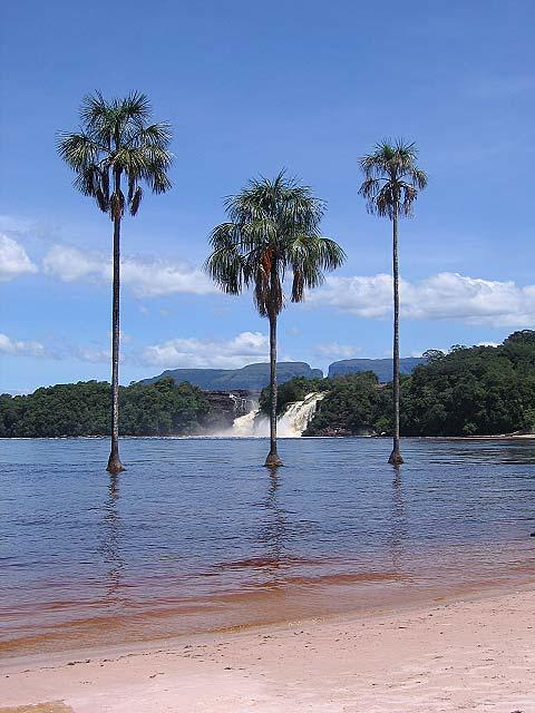 Diese Region ist in der Tat beeindruckend und von einmaliger Schönheit. Der Park ist Teil der Guyana-Schildes, der ältesten geologischen Formation der Erde.