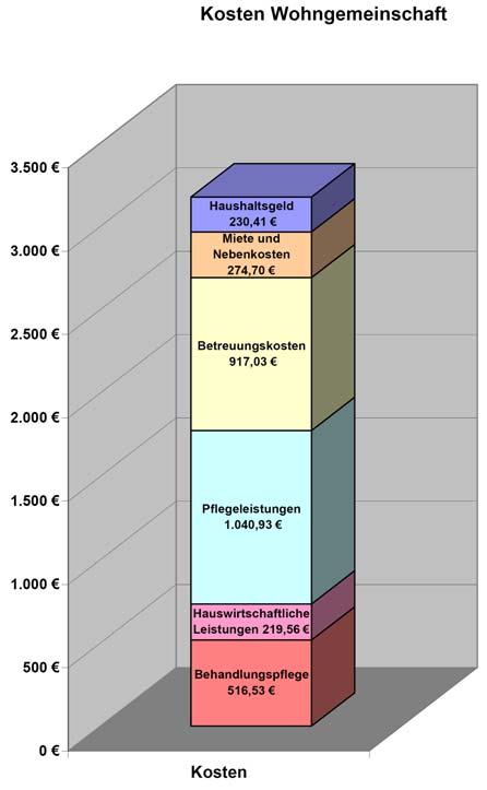 Kosten und Kostenübernahmen 2007 Graphisch lassen