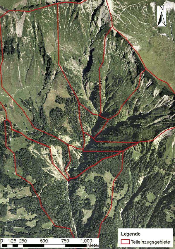 BFW-Dokumentation 12/2011 45 Abbildung 4-10: Luftbild Eistlenbach mit Teileinzugsgebietsgliederung (Kartendaten: reproduziert mit Be willigung von swisstopo (BA091346)).