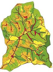 Nutzung Grünland/ Mähwiesen/ Weiden Mischwald (Fichten dominant) Braunerden (neutral, sauer, podsolig)