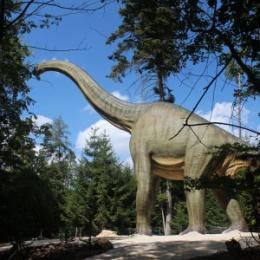 Dinosaurier Freiluftmuseum Datum: Samstag, 5. August 2017 Wir fahren nach Denkendorf im Altmühltal. Dort können wir einen Park mit vielen Dinosauriern besichtigen.