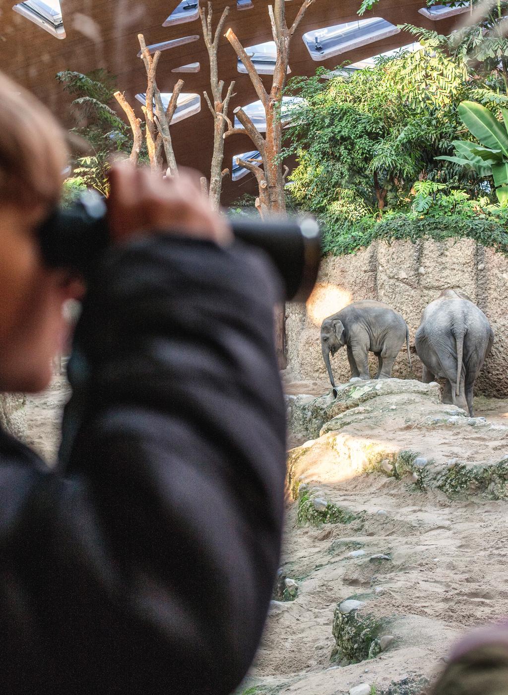 Den wilden Tieren ganz nah Ein Tag im Zoo: Das ist mehr als exotische Tiere anschauen.