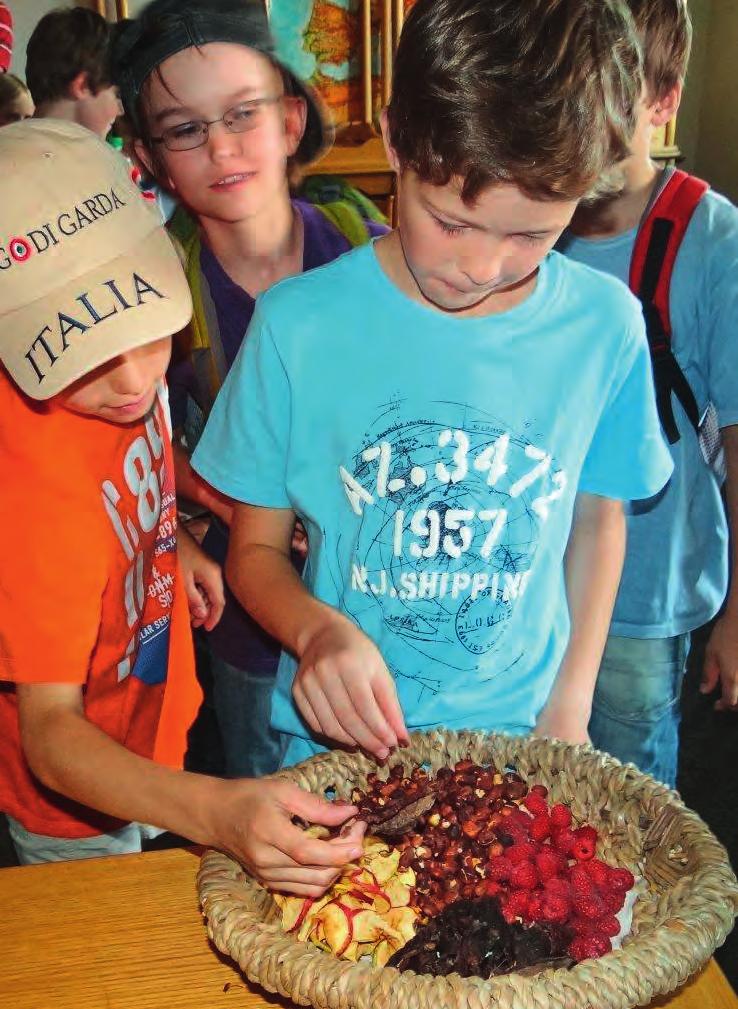 bewältigen sind. Neben dem Handwerk bildeten auch Fragen rund um das Thema Ernährung einen zentralen Aspekt: Wie sah der Speiseplan (Abb. 8) unserer Vorfahren aus?