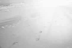 Eisplatten können beim Bremsen oder in Kurven schnell zu gefährlichen Geschossen werden. Durch den häufigen Nebel im Winter werden Ihre Scheiben außerdem feucht und die Sicht dadurch schlechter.
