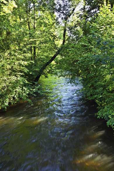 Hochwasserschutz / Gewässer Hinweise und Empfehlungen zu Funktion, Gestaltung und Pflege von Fließgewässern Natürliche Fließgewässer zeichnen sich durch ihren Artenreichtum und ihre vielfältigen