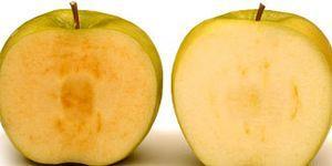1. Genveränderter Apfel 2015 zugelassen: Entwickelt von dem kanadischen Biotech-Unternehmen Okanagan Specialty Fruits, ist bei diesen Äpfeln (Markenname: Arctic) das Gen für