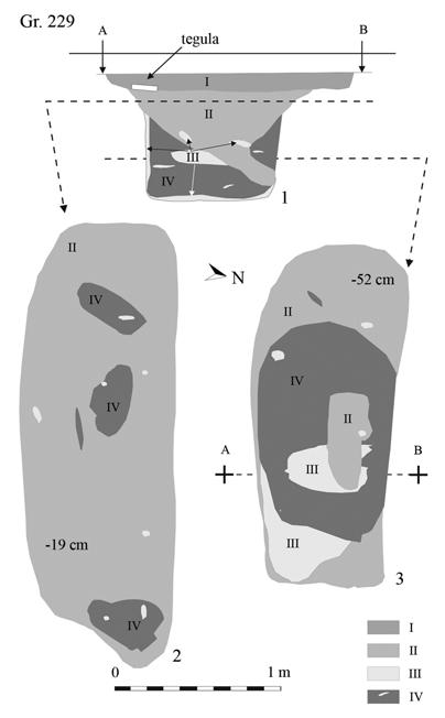 THE LANGOBARD CEMETERY AT MÉNFŐCSANAK 199 fig. 14. 1: S N section of Grave 229; 2: top view at a depth of 19 cm; 3: top view at a depth of 52 cm.