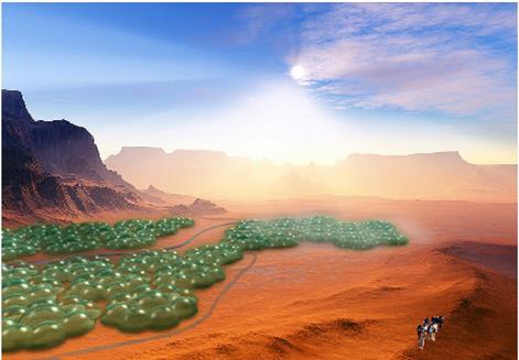 Grüne Oasen in der Wüste nach dem Vorbild von www.tamera.