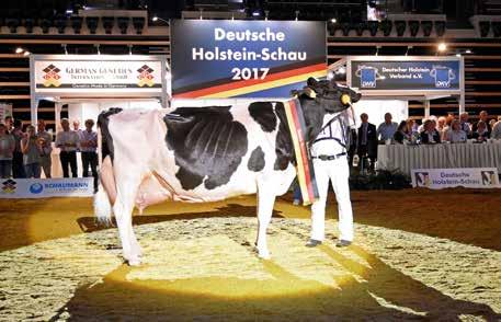 RINDUNDWIR September 2017 Ja - sind denn alle GAGA? DHV-Schau 2017 Alle 2 Jahre ist das niedersächsische Oldenburg das Mekka für die Holstein-Fans aus ganz Deutschland.