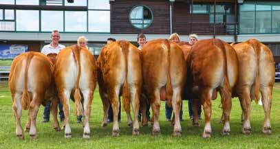 könnten. Als Abschluss der Vortragsreihe erläuterte Rüdiger Marquardt (Holstein-Wagyu) die künftigen Anforderungen an Zuchttiere und welche Preise am Markt realisiert werden können.