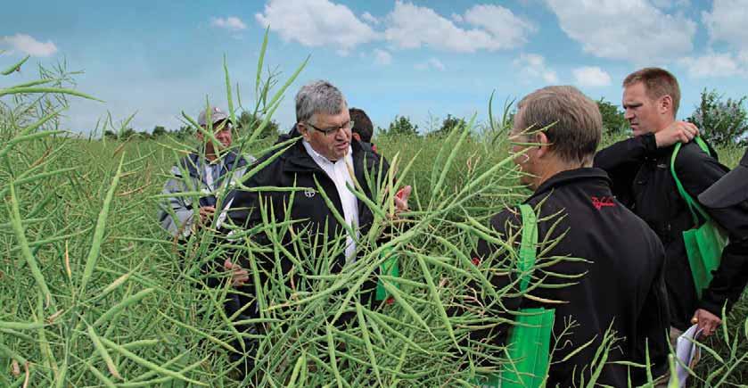 Vertriebsberater Dieter Passow mit Besuchern beim Feldtag in Raden, Mecklenburg-Vorpommern Zur Sicherung der Ölquellen Mehr Triebe sind die beste Voraussetzung für höhere Erträge.