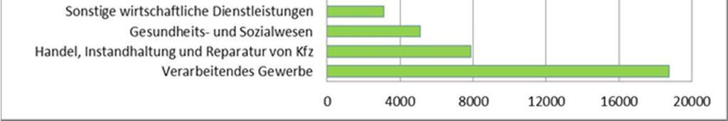 10 11 Abbildung 12 Beschäftigte und Unternehmen nach Wirtschaftszweigen VERKEHR UND INFRASTRUKTUR Die überregionale Verkehrsanbindung des FLAG-Gebietes kann als sehr gut bezeichnet werden.