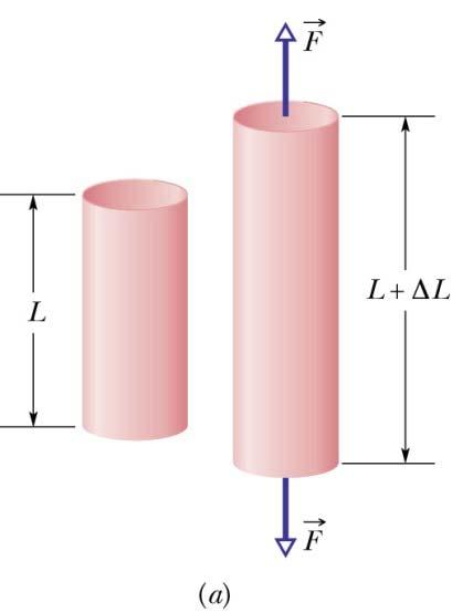 Elastizität Hooke sches Gesetz Im linearen (elastischen) Bereich gilt: Die Spannung ist proportional zur Dehnung F E A E