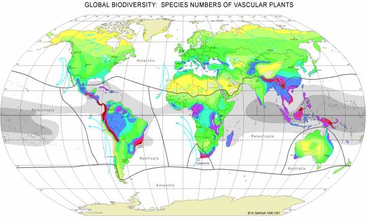 Biodiversität-Hotspots liegen