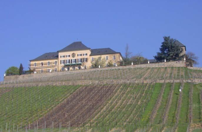 Klimaänderungen auf den Weinbau in Hessen: Risiken durch Änderungen im Wasserhaushalt (besonders Steillagen)