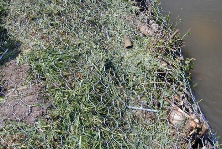 Anhang 5 - Ufersicherungsmaßnahmen Bei der Verwendung von Wellengitter müssen dabei die zu schützenden Bereiche abgeflacht und vorhandene Gehölze entfernt werden, um das wenig flexible Gitter