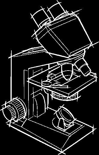 1 Installieren des Mikroskops BEDIENUNGS- ABLAUF Das Mikroskop soll zum Mikroskopieren in der Nähe eines hellen Fensters